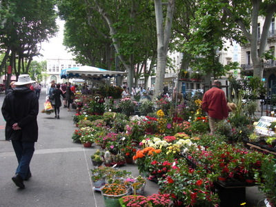 flower market